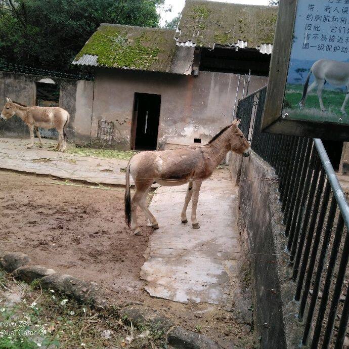 小7手游用户头像