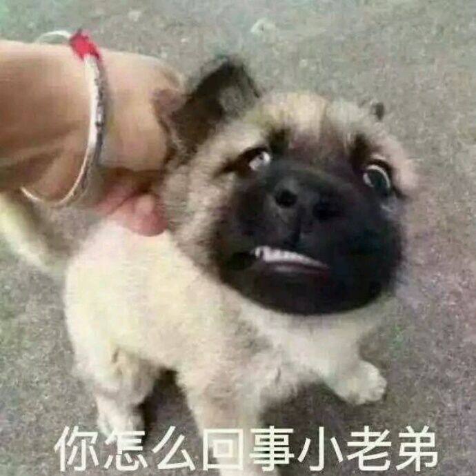 小7手游用户头像