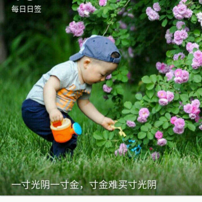 小7手游用户头像