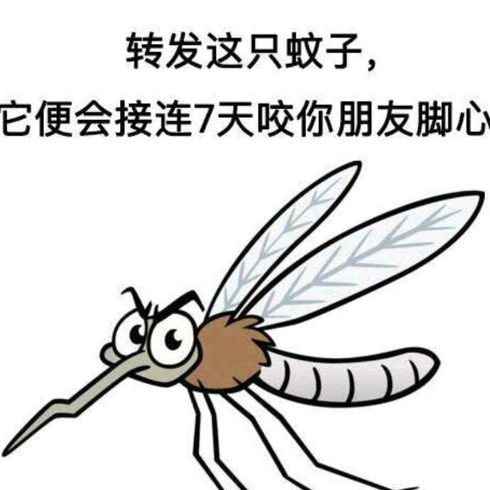 小7手游用户头像