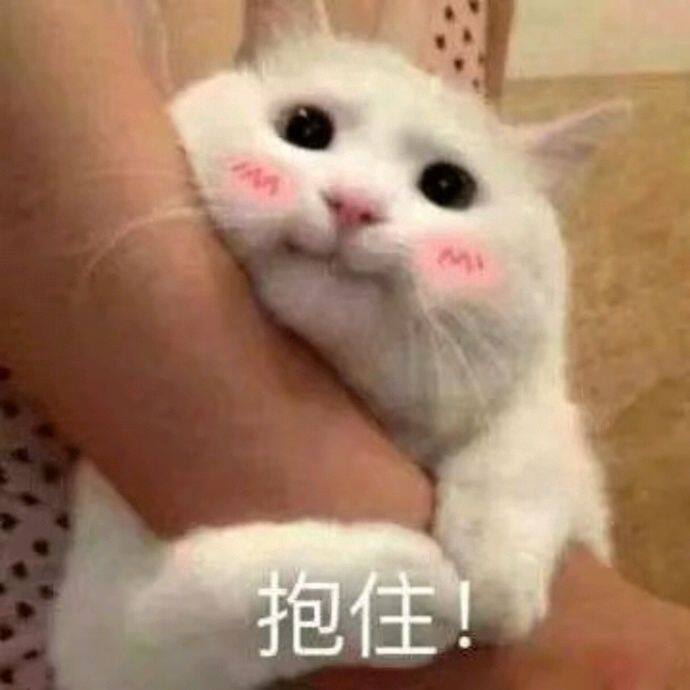小7手游用户头像