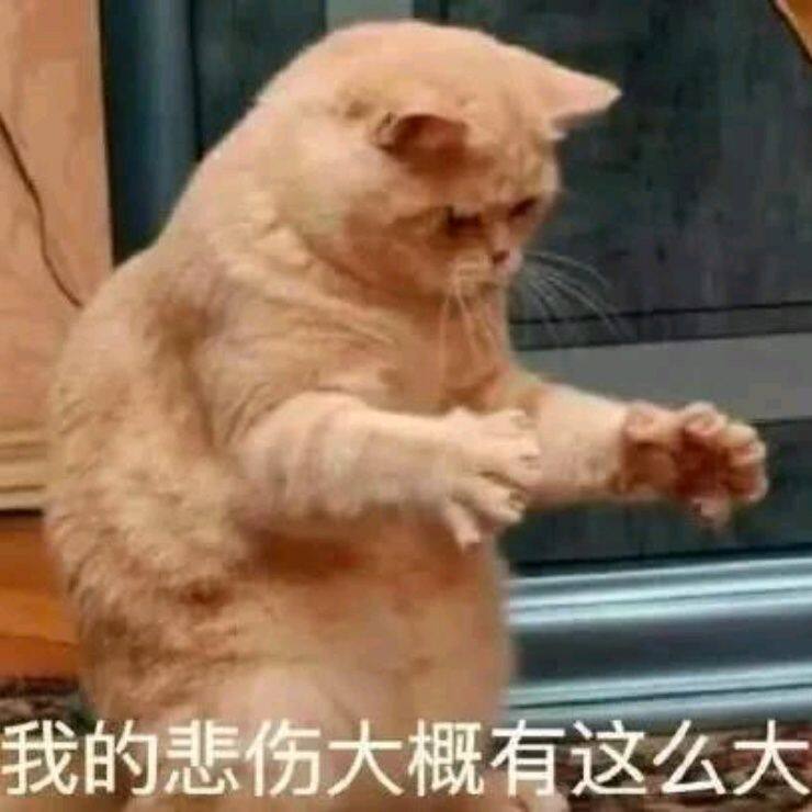 小7手游用户头像