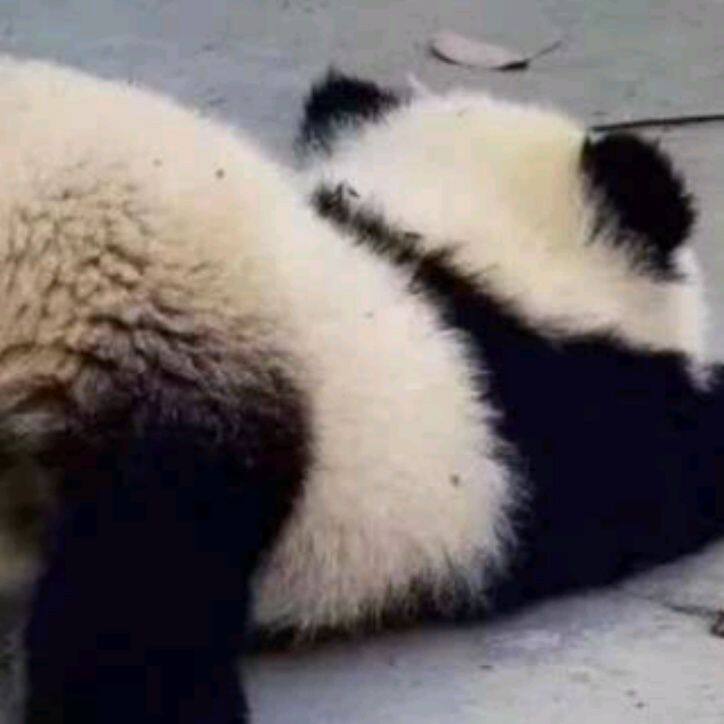 小7手游用户头像