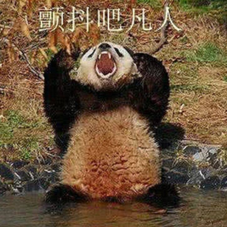小7手游用户头像
