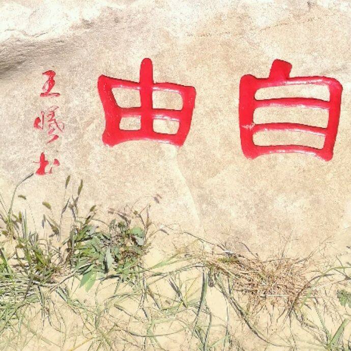 小7手游用户头像