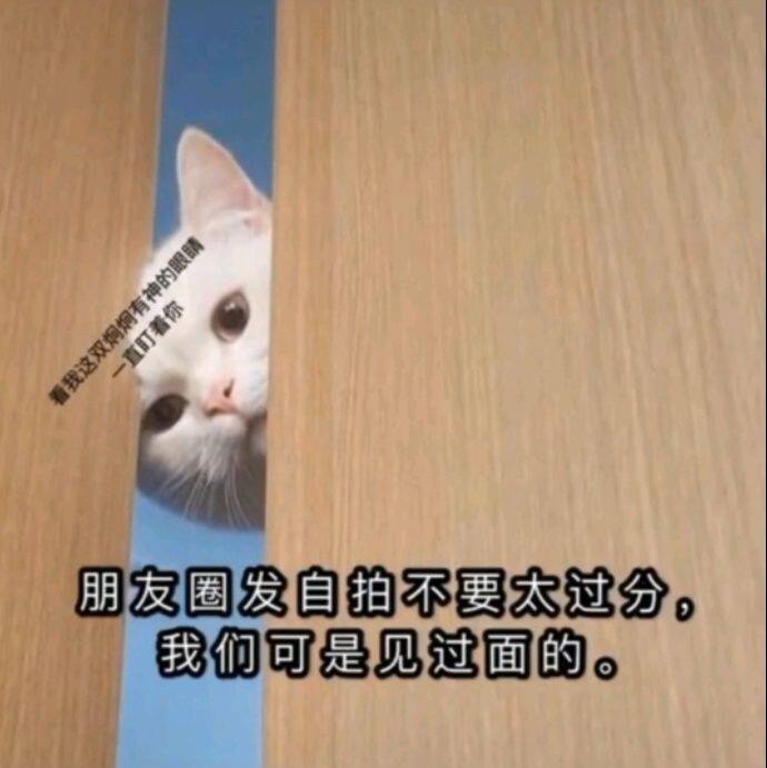 小7手游用户头像