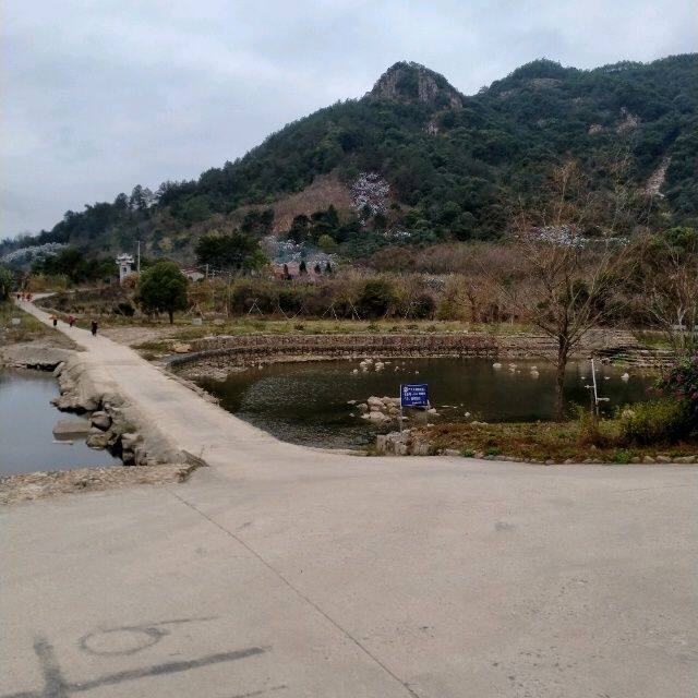 小7手游用户头像