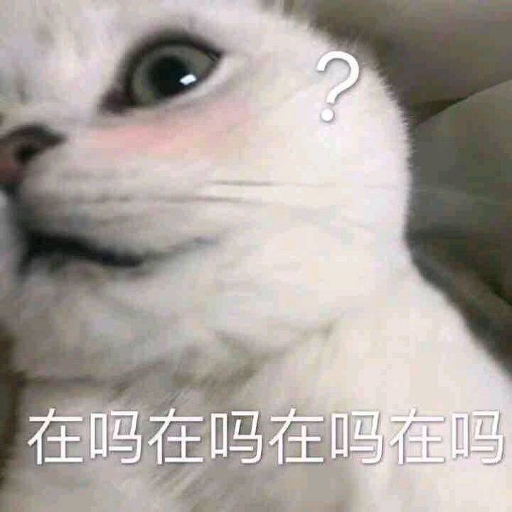 小7手游用户头像