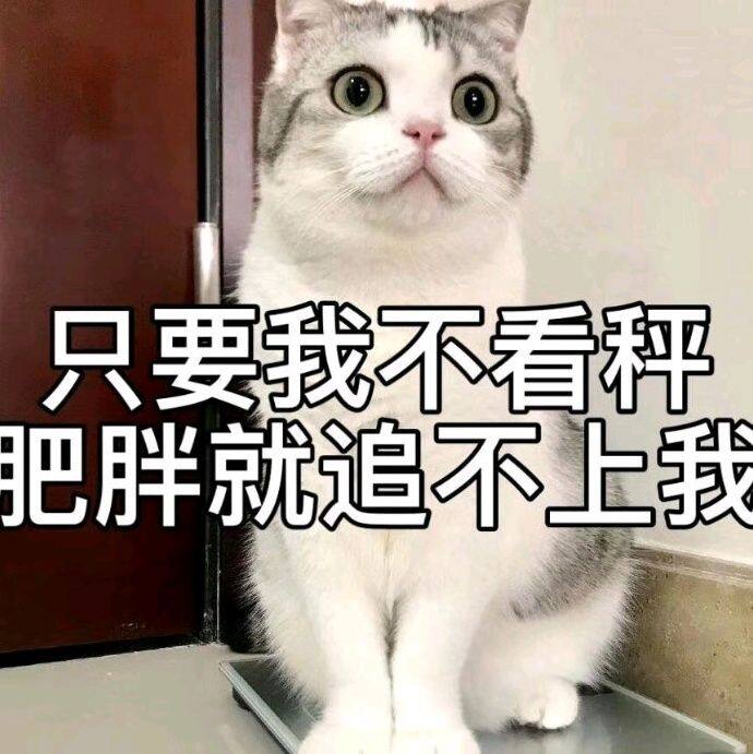 小7手游用户头像