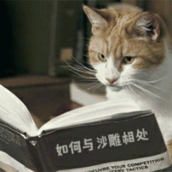 小7手游用户头像