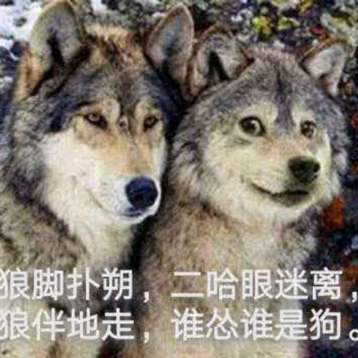 小7手游用户头像