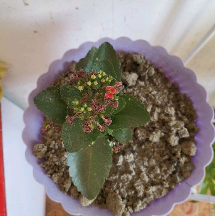 小7手游用户头像