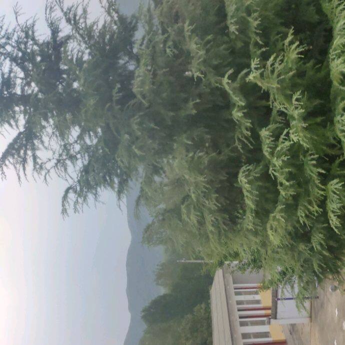 小7手游用户头像