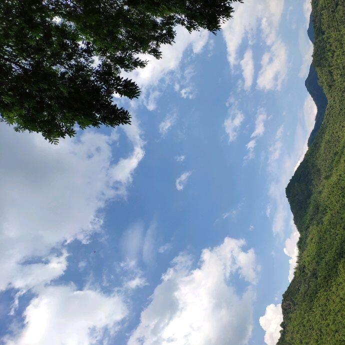 小7手游用户头像