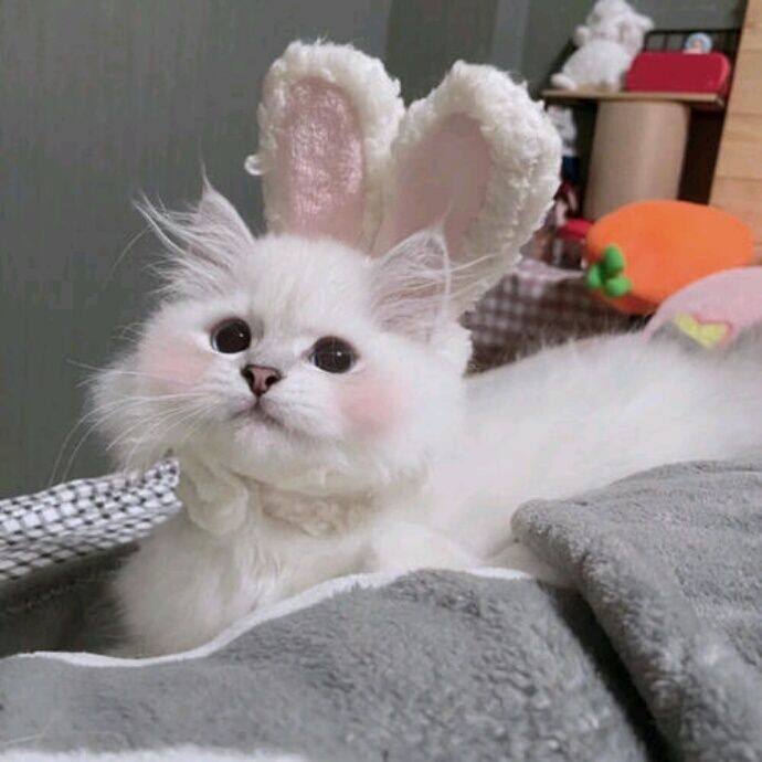 小7手游用户头像