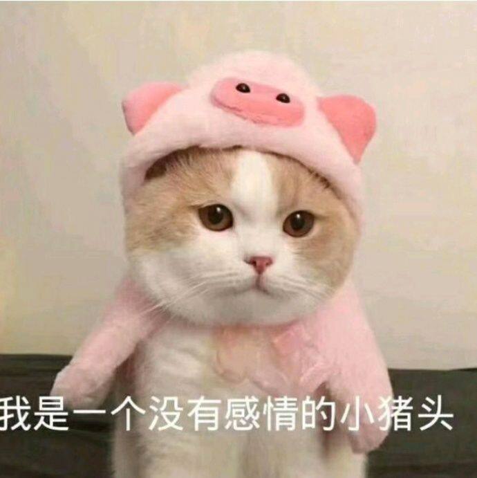 小7手游用户头像