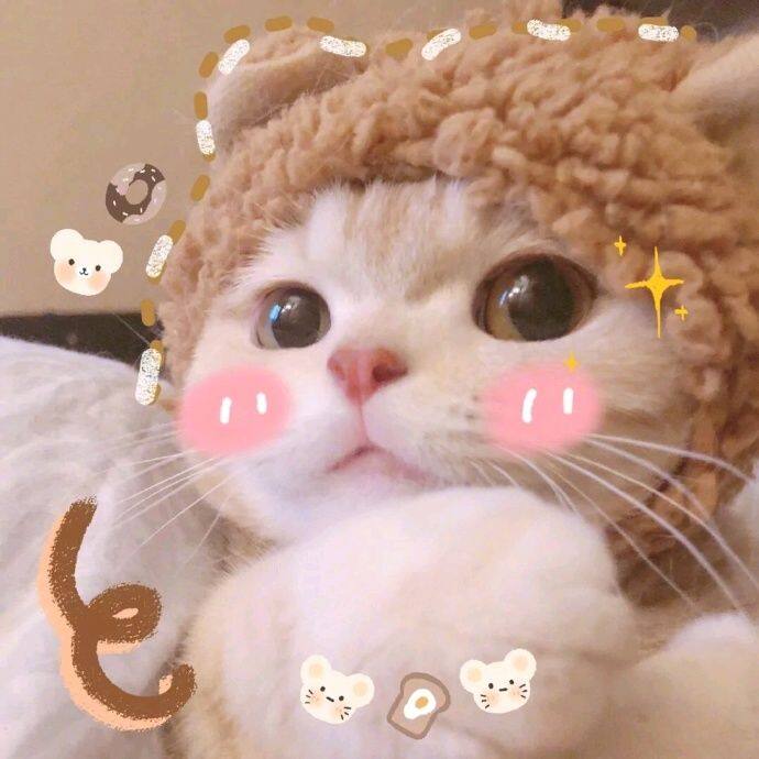 小7手游用户头像