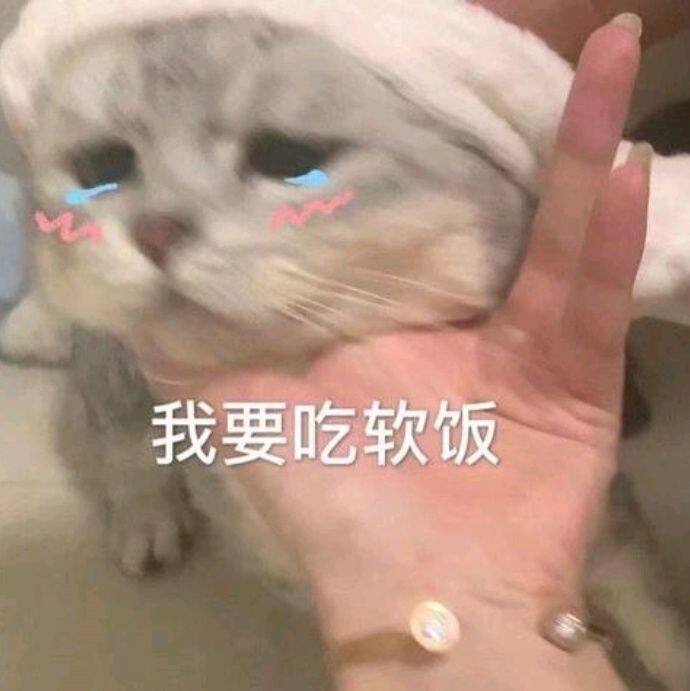 小7手游用户头像